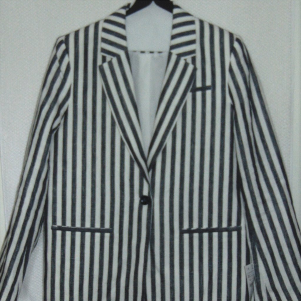 Women's Striped Zara Basic Blazer Jacket Us: Xs